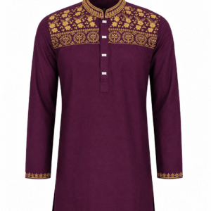 Classic Panjabi - 01